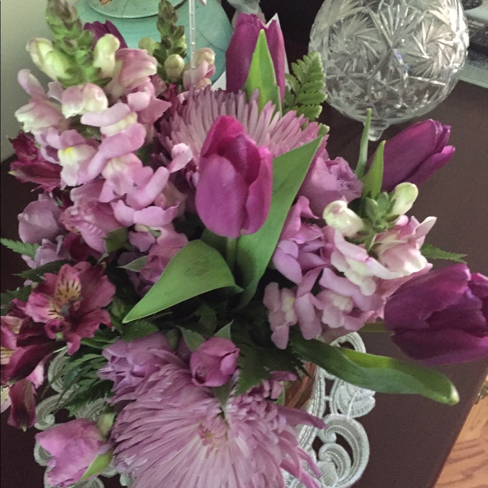 Meet your Posher, Julia